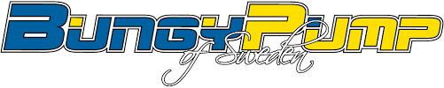 logoBUNGYpump