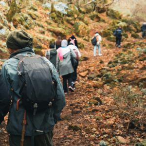 pexels-aymannouas-30164921